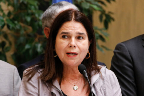 “Ya no fuimos coalición”: Diputada Ossandón aborda la relación entre el oficialismo y el Gobierno