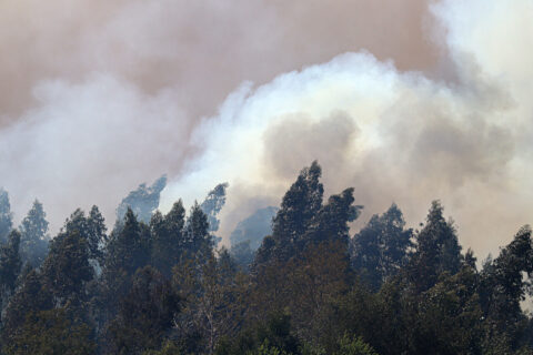 Ley de Incendios avanza al Congreso: Comisión Mixta rechaza indemnizar a privados que incumplan medidas preventivas