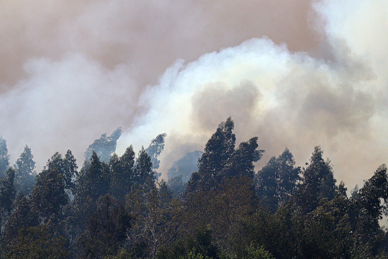 Ley de Incendios avanza al Congreso: Comisión Mixta rechaza indemnizar a privados que incumplan medidas preventivas