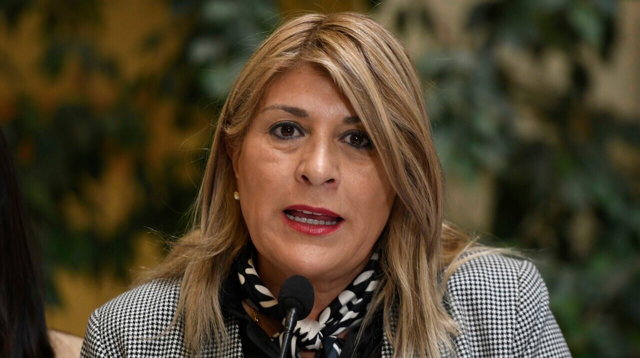 "No descarto absolutamente nada": Diputada Parisi aborda opción de acusar constitucionalmente a ministro Rabat tras rebajas de penas a abusadores