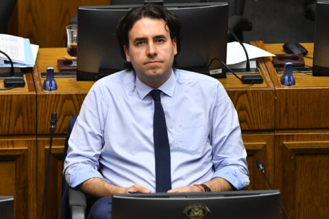 Senador Mirosevic marca distancia del pacto de seguridad: 