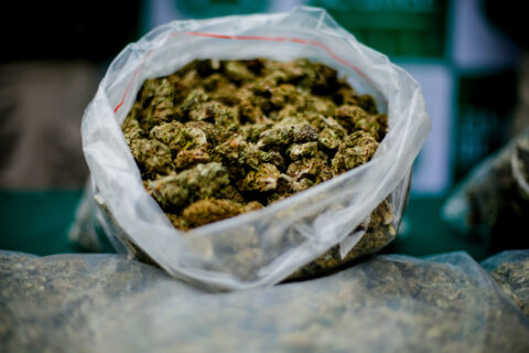 Atacama: Incautan casi 2 toneladas de marihuana que eran transportadas en un camión
