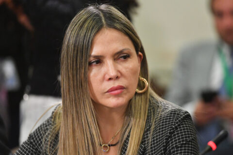 Diputada Pérez (IND-UDI) niega ser 