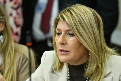 Diputada Parisi critica 