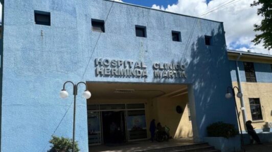Confirman brote de sarna noruega en Chillán: ¿Qué es y qué tan peligrosa es esta afección?