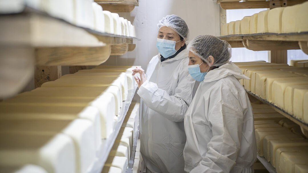 Biobío: Seremi de Salud prohíbe temporalmente funcionamiento de planta de lácteos Matthei por reiterados muestreos positivos a listeria