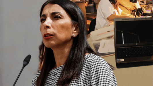 Rubilar cuestiona recorte a 