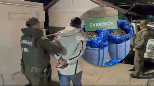 Seis ciudadanos bolivianos detenidos: Comercializaban con 100 kilos de hojas de coca en Santiago