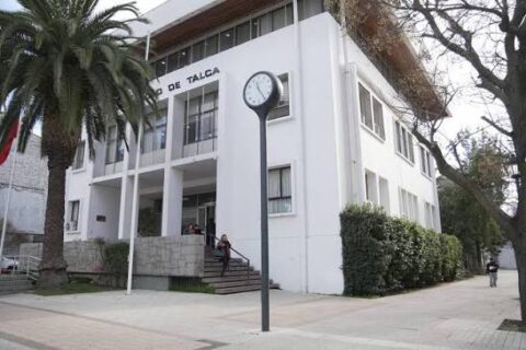 Municipalidad de Talca deberá pagar $200 millones a familia de joven que murió por caída de rama