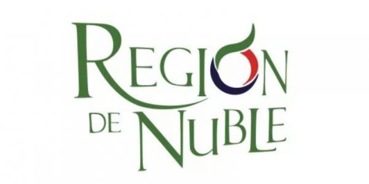 logo-region-del-%C3%B1uble-532x266.jpg