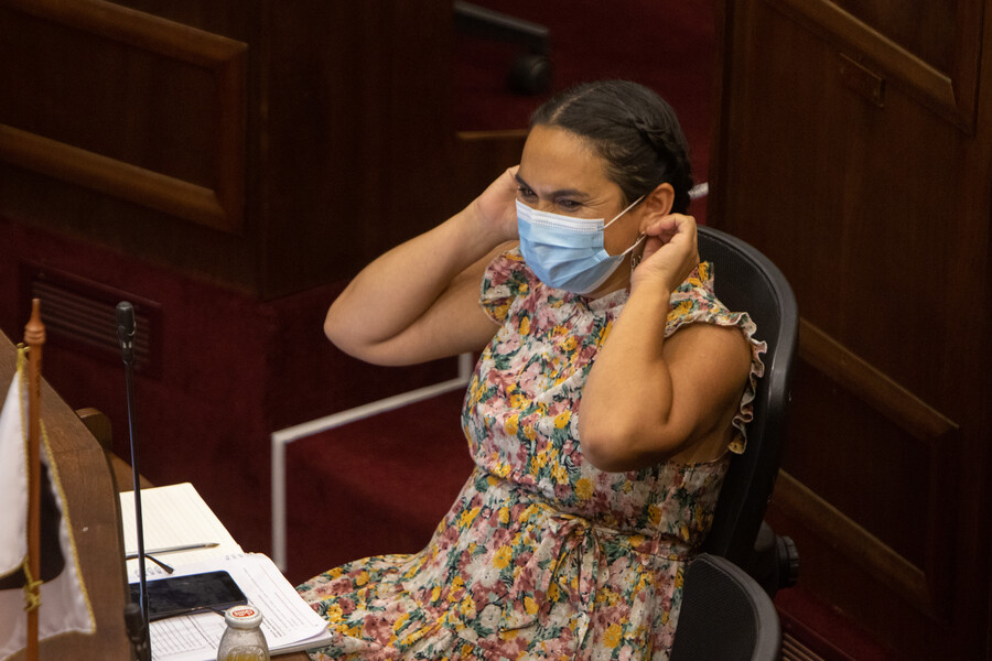 Rosa Catrileo aclaró dichos sobre “país mapuche” “No estamos