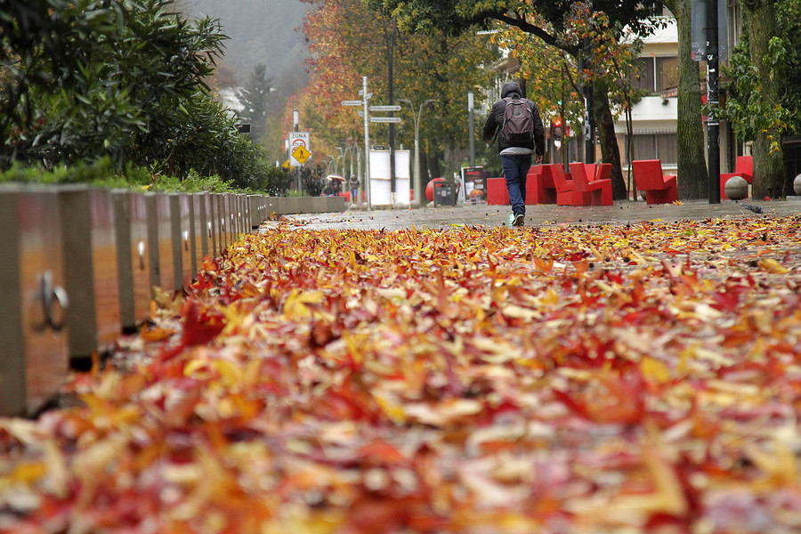 El Verano Entra En La Recta Final ¿cuándo Y A Qué Hora Comenzará Oficialmente El Otoño