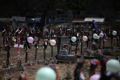 Fernando no ha vuelto: Los errores en la identificación de las víctimas de la dictadura sepultadas en el Patio 29