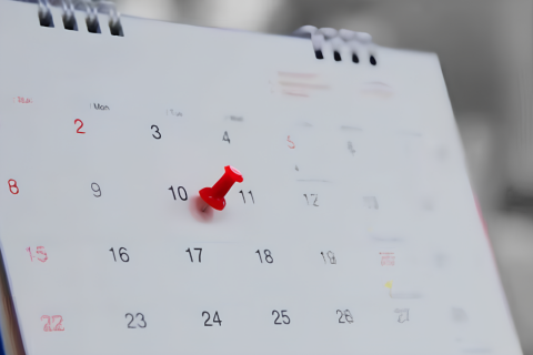 ¿Cuántos feriados quedan en 2025?: Revisa los últimos descansos del año