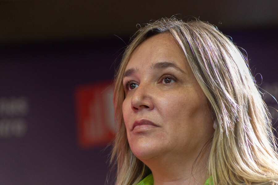 María José Hoffmann asegura que le “encantaría” presidir la UDI “Será