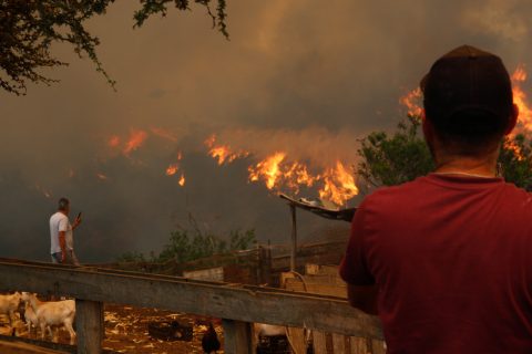 Abogada invitada por PSC al Congreso afirma que 500 personas murieron en incendios en Valparaíso, pero según SML son 135