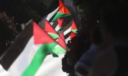 Diputados oficialistas piden actuar con decisión en Palestina: "El mundo no puede quedarse en silencio ante la barbarie israelí"