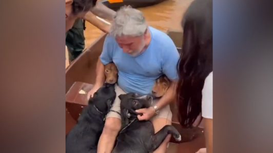 Así fue el emotivo reencuentro de un hombre con sus perros tras las inundaciones en Brasil