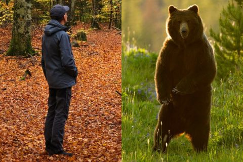 ¿Hombre u oso?: Una pregunta viral ha generado respuestas aterradoras y un gran debate en redes sociales