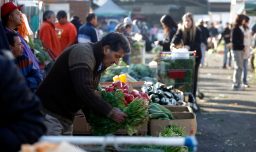 Sociedad Nacional de Agricultura descarta aumento de precios en frutas y verduras tras paso del sistema frontal