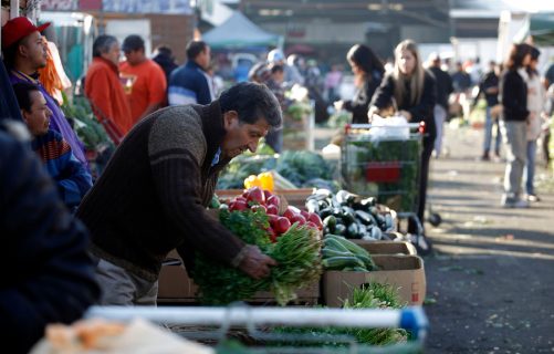 Sociedad Nacional de Agricultura descarta aumento de precios en frutas y verduras tras paso del sistema frontal