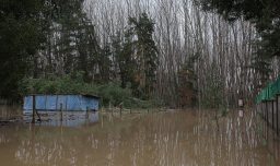 Senapred solicita evacuaciÃ³n y activa alerta SAE por desborde del RÃ­o Pichilo