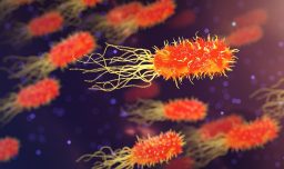 “Bacteria asesina” agrava síntomas de influenza en Chile: ¿A quiénes perjudica más y cómo prevenir contagios?