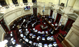 En medio de violentas protestas: Senado argentino aprueba en general la Ley de Bases impulsada por Javier Milei
