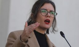 Ministra Vallejo condena la negativa de ingreso a la hija de Camila Rojas al Congreso y pide empatía a los diputados