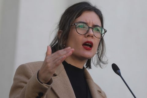 Ministra Vallejo condena la negativa de ingreso a la hija de Camila Rojas al Congreso y pide empatía a los diputados