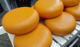 Expulsan a policía alemán por sustraer 180 kilos de queso cheddar de la escena de un accidente