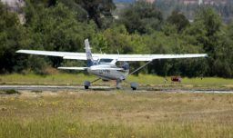 Avioneta desaparecida en la Región de Aysén es buscada por la FACH: Viajaba a Chile Chico desde Coyhaique