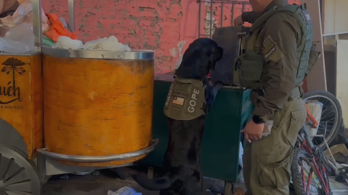 ALLANAMIENTO EN RECOLETA: 8 DETENIDOS VINCULADOS A BANDA "LOS PULPOS"/FOTO: CARABINEROS