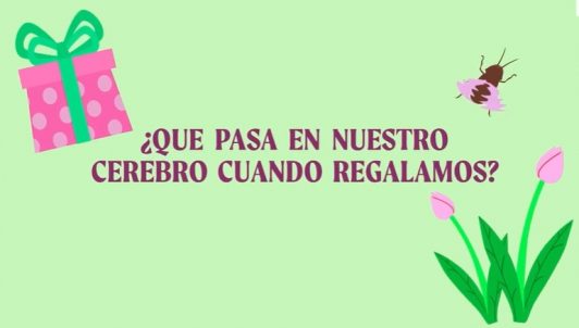 ¿Qué pasa en nuestro cerebro cuando hacemos regalos?