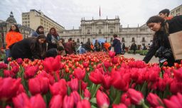 Día del Tulipán no se celebrará en La Moneda este año: Cambió su ubicación y se realizará en Las Condes