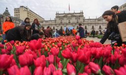 "Nosotros no tenemos por qué estar dando colaciones": Organización del Día del Tulipán se defiende tras caos en Las Condes