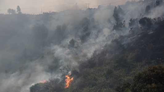 Incendios forestales en los últimos años: ¿Qué medidas preventivas se pueden implementar?