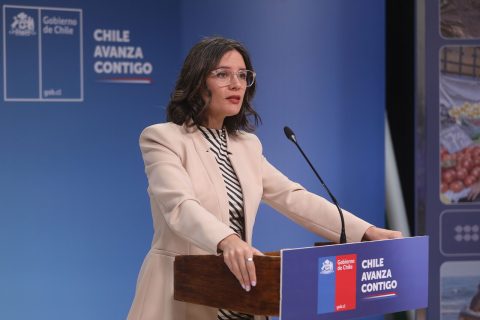 Ministra Vallejo afirma que proyecto del CAE "está en su fase final" y que será presentado en octubre