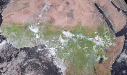 Un inusual cambio en el clima ha pintado de verde el desierto del Sahara