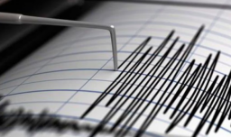 Tsunami de medio metro de altura alcanza islas al sur de Tokio tras un temblor de 5,9