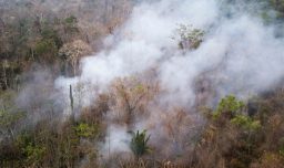 Bolivia: Gobierno declara “desastre nacional” por impacto de incendios forestales