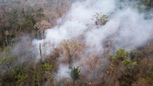 Bolivia: Gobierno declara “desastre nacional” por impacto de incendios forestales