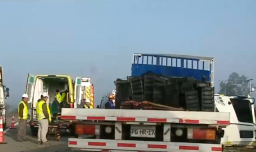 Confirman muerte de niño de 12 años que quedó grave tras choque de camiones en Ruta 78