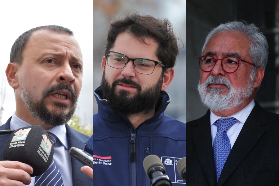 palma-boric-hermosilla.jpg