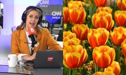 Carolina Urrejola y caos en Día del Tulipán: “La masa siempre es impredecible y ningún organizador puede pecar de candidez”