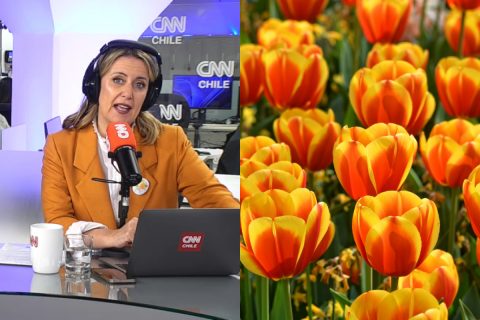 Carolina Urrejola y caos en Día del Tulipán: “La masa siempre es impredecible y ningún organizador puede pecar de candidez”