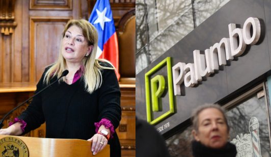 Nueva denuncia contra Ángela Vivanco: La acusan de "tramitación exprés" de causa que habría beneficiado a Palumbo