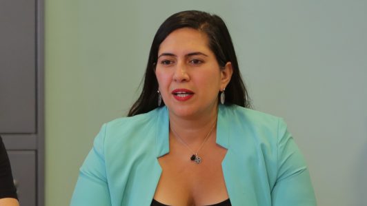 Karina Delfino: "No haría un cambio de gabinete solo porque presiona una fuerza política"