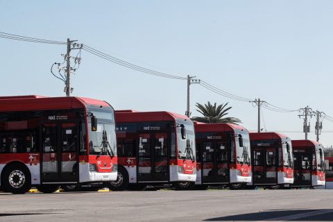 ¿Cómo será el transporte durante las elecciones 2024? Revisa los servicios especiales y horarios de funcionamiento