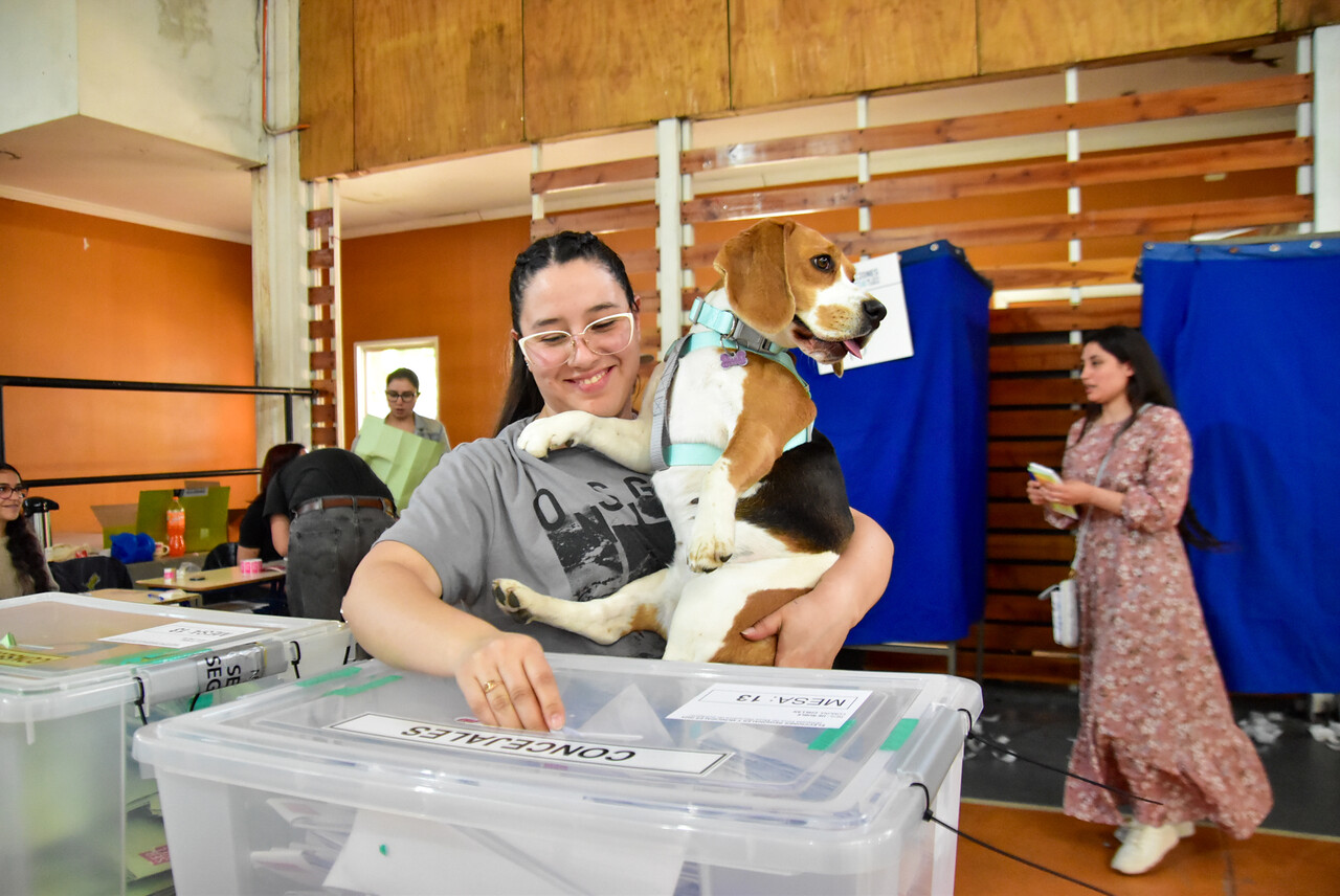 Fotos | Perritos acompañaron a sus dueños a votar/Agencia Uno